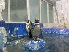 -太平洋海底世界