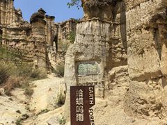 -元谋土林景区(物茂土林)