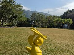 -银湖山郊野公园-相思林