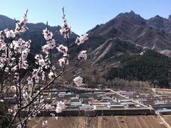 -遥桥古堡
