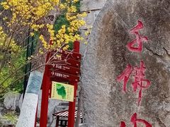 -千佛山风景名胜区