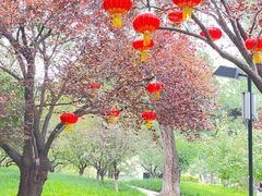 -丰台花园