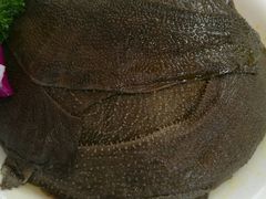 -二荆条·蜀鲜汇城市森林火锅