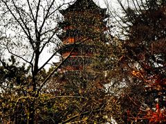 -北寺塔
