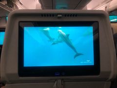 -西沃古尔·拉姆古兰爵士国际机场