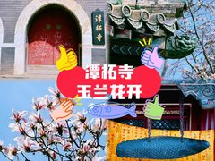 -潭柘寺景区