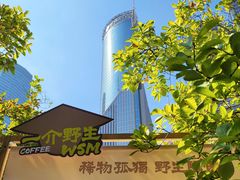 -陆家嘴中心绿地