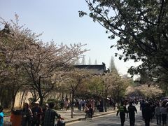 -鸡鸣赐茶(鸡鸣寺路店)