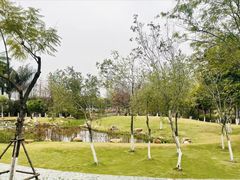 -厦门园林博览苑