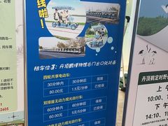 -盐城丹顶鹤湿地生态旅游区