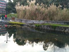 -成都市活水公园