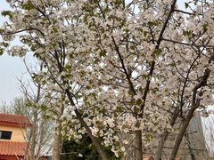 -意大利农场度假村