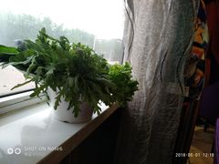 -健晟星期天火锅(望花店)