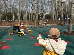 -森林公园(尖草坪区)