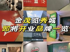 -金茂览秀城
