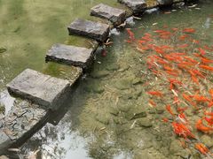 -竹泉村旅游度假区