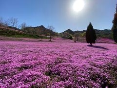 -昆嵛山石门里景区