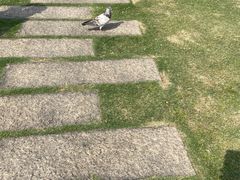 -白鹭洲公园