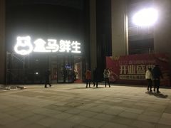 -盒马鲜生(领丰汇店)