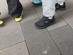 -陈麻婆豆腐(旗舰店)