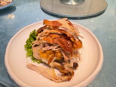 -海派美食·家宴海鲜青岛菜·石锅鲽鱼头(东方城店)