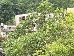 -安吉龙王山峡谷漂流