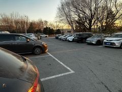 -XPEL旗舰店·汽车贴膜·隐形车衣·改色贴膜