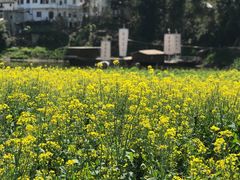 -新安江山水画廊风景区