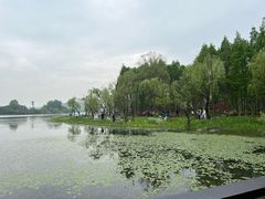 -渤公岛生态公园
