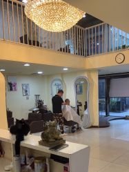 -丽时 Hair Salon