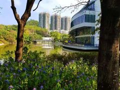 -深圳国际园林花卉博览园