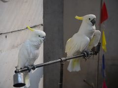 -西安秦岭野生动物园