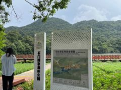 -广州市石门国家森林公园