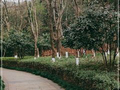 -杭州半山国家森林公园