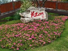 -上海长兴岛郊野公园