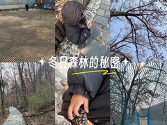 -大伊山景区