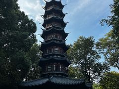 -上海佘山国家森林公园西佘山园