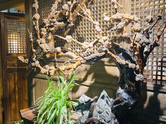-聚缘堂·海鲜私房菜(松岭路店)
