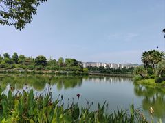 -枫香湖儿童公园