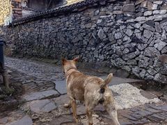 -许家山