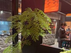 -锦城印象火锅(天府三街店)