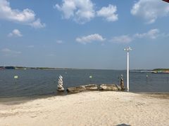 -呼兰河口湿地公园