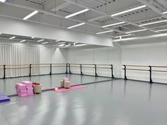 -中央芭蕾舞团·中芭艺蕾(酒仙桥明星校区)