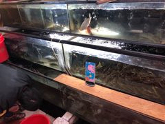 水产区-魏四小鱼锅贴王