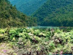 -大奇山国家森林公园