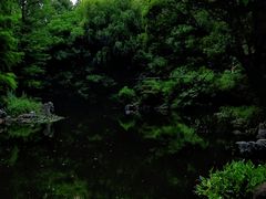 -中山公园