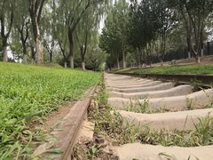 -永定河休闲森林公园