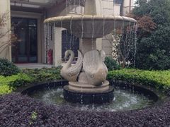 -上海崇明金茂凯悦酒店