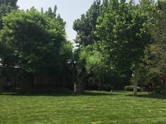 -中国艺术研究院油画院