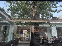 -自如ZSPACE四合院艺术餐厅
